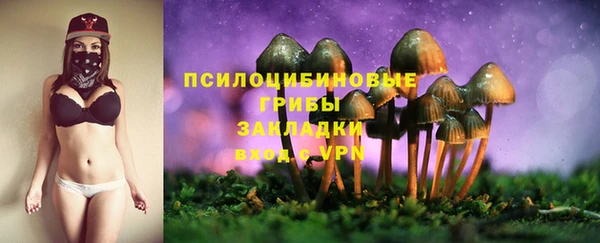 крисы Алексеевка