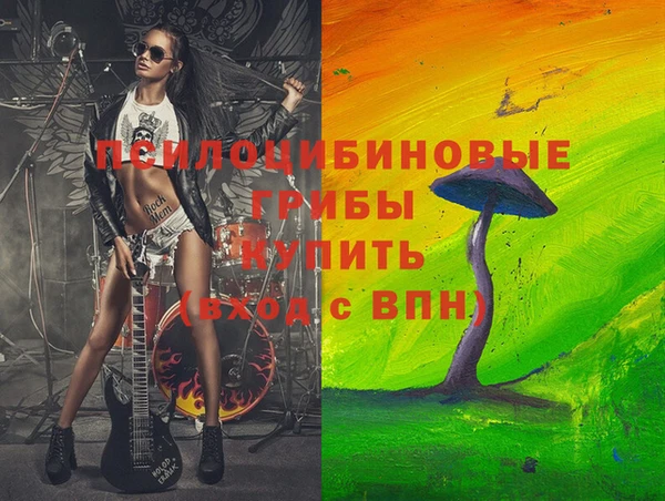 молекула духа Армянск