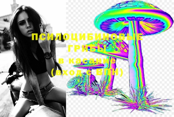 молекула духа Армянск